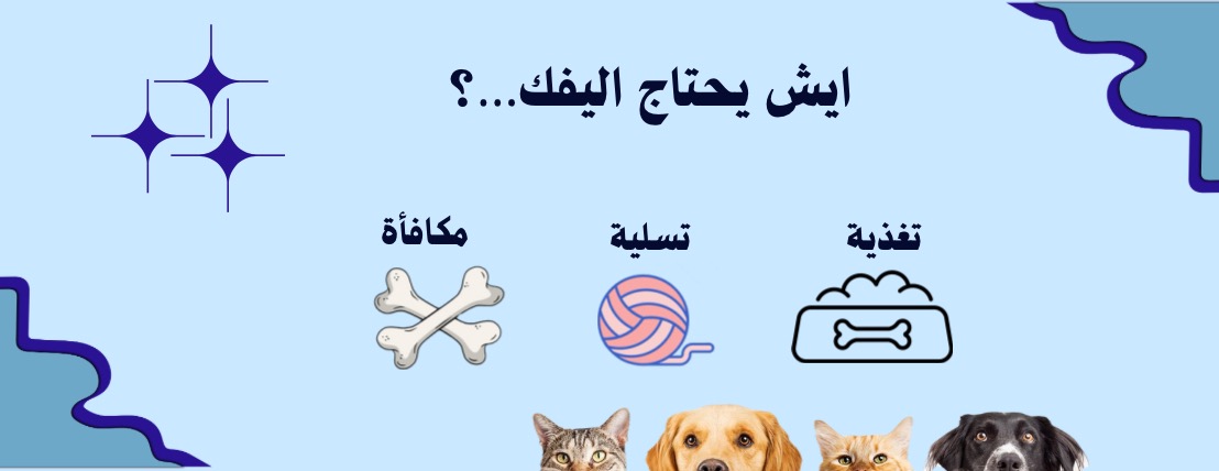 Pet hotel image-slider-1