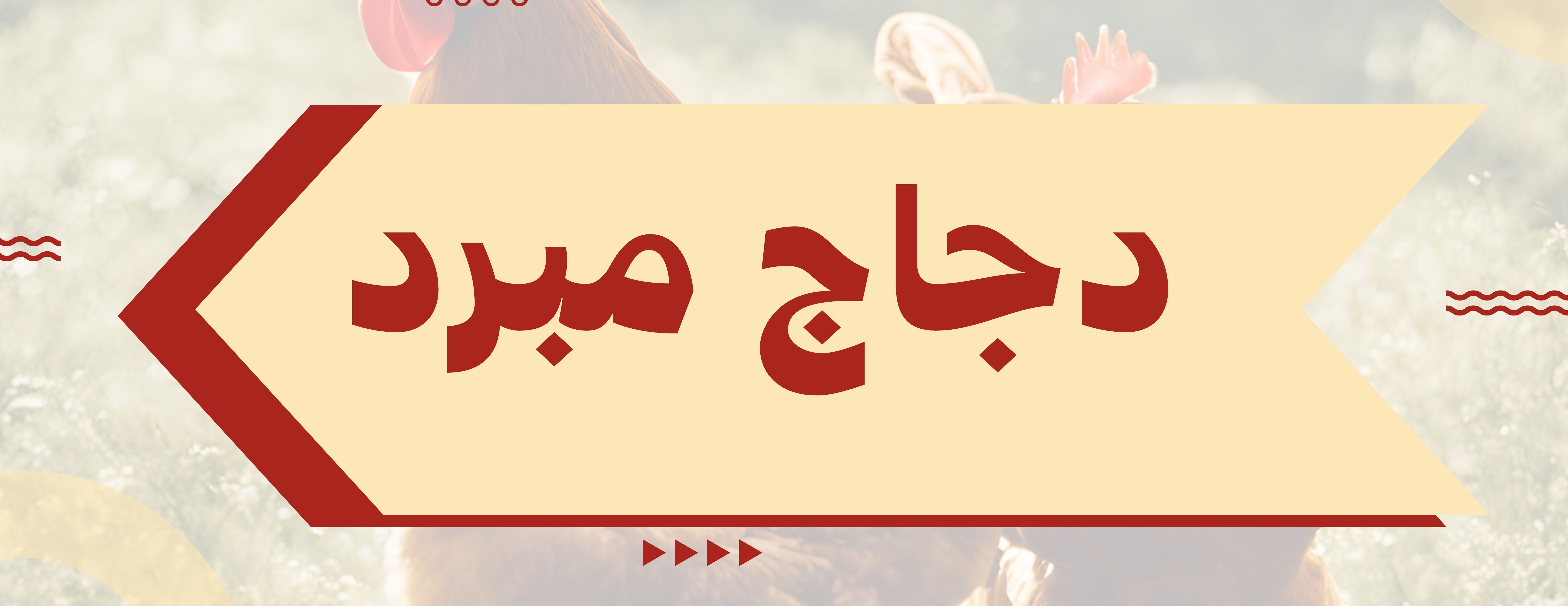 الطلعة image-slider-0