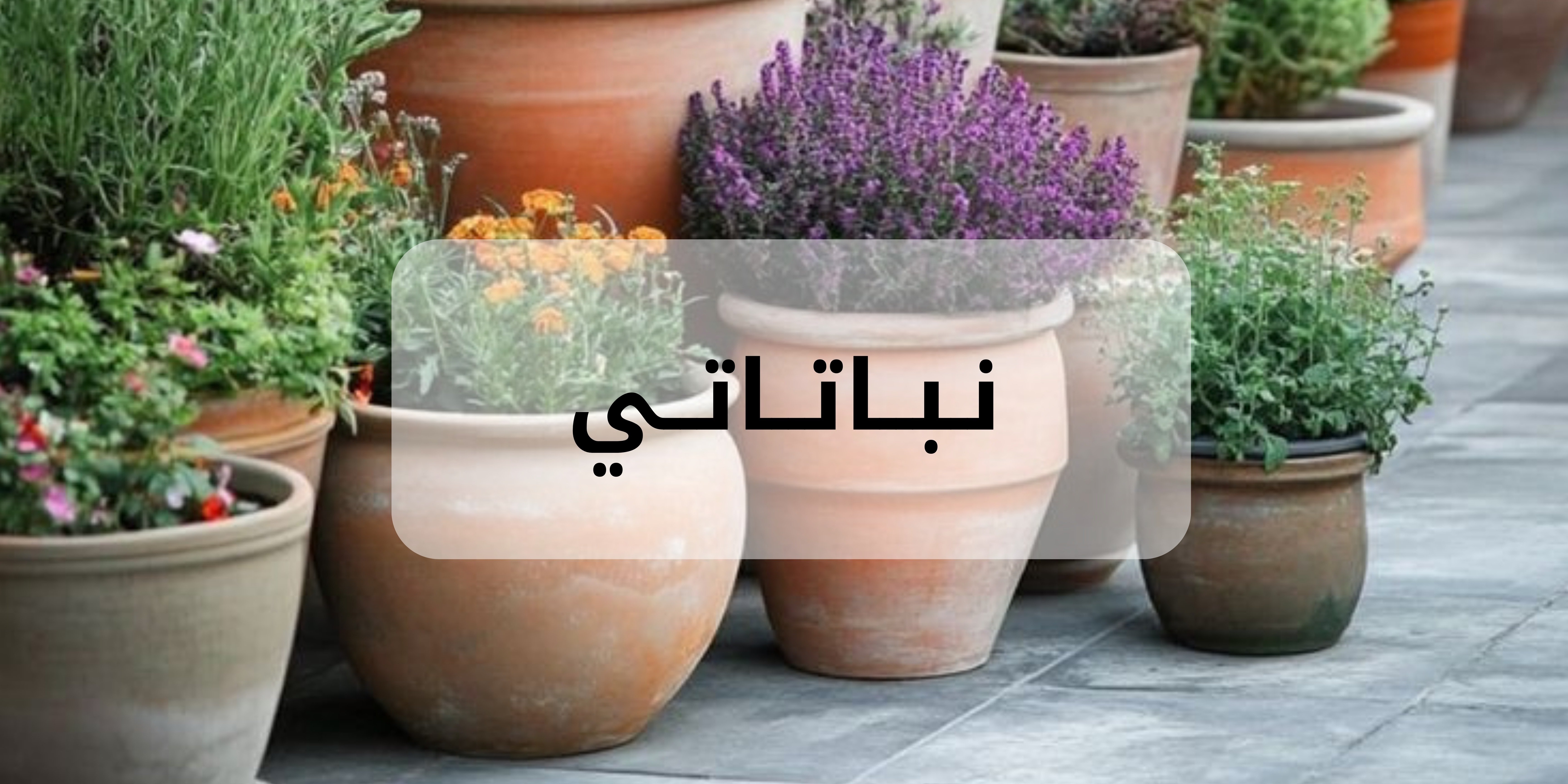 fixed banner