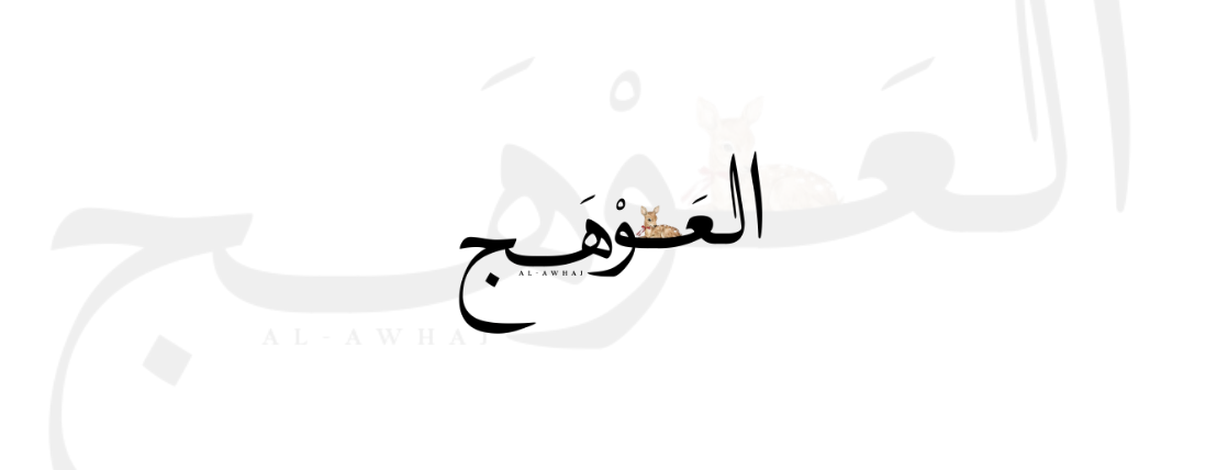 العَوهج image-slider-0