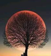 سليمان المطيري