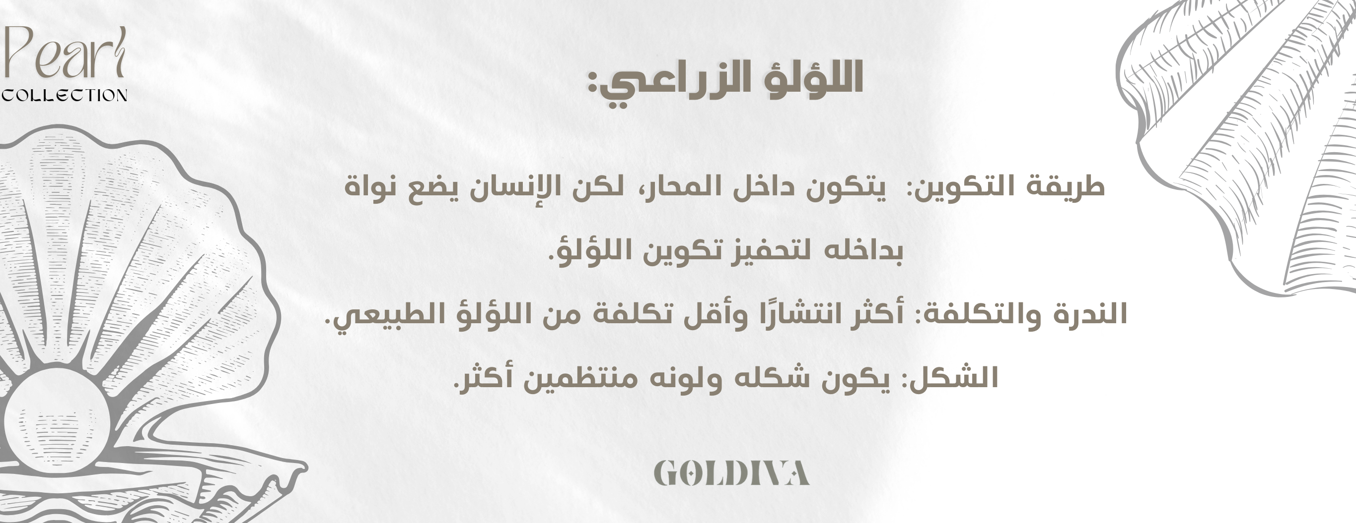 Goldiva.sa image-slider-2
