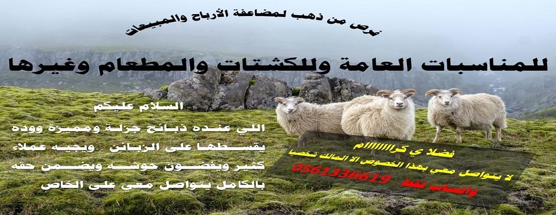 مؤسسة القارة للأفراح والمناسبات image-slider-4