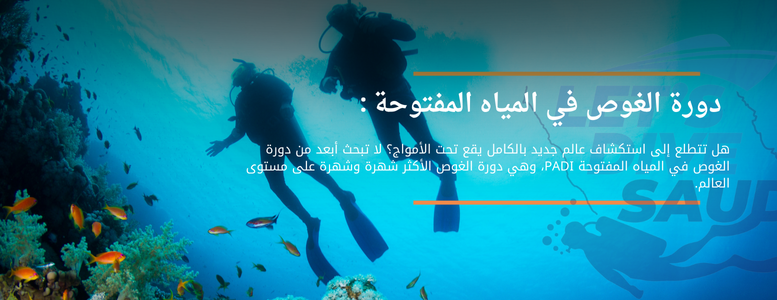 lets dive saudia | هيَّا غوص السعودية image-slider-0