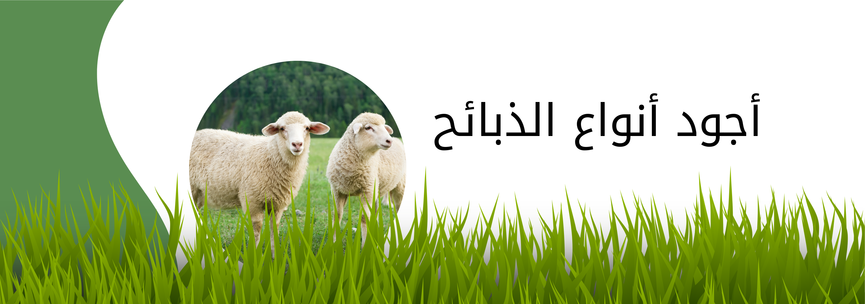 fixed banner