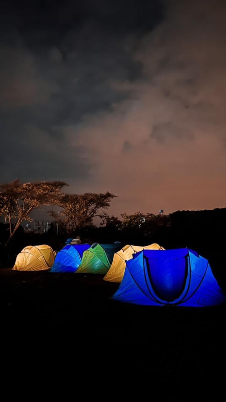 هدوء الباحة