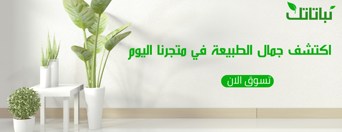 نباتاتك image-slider-0