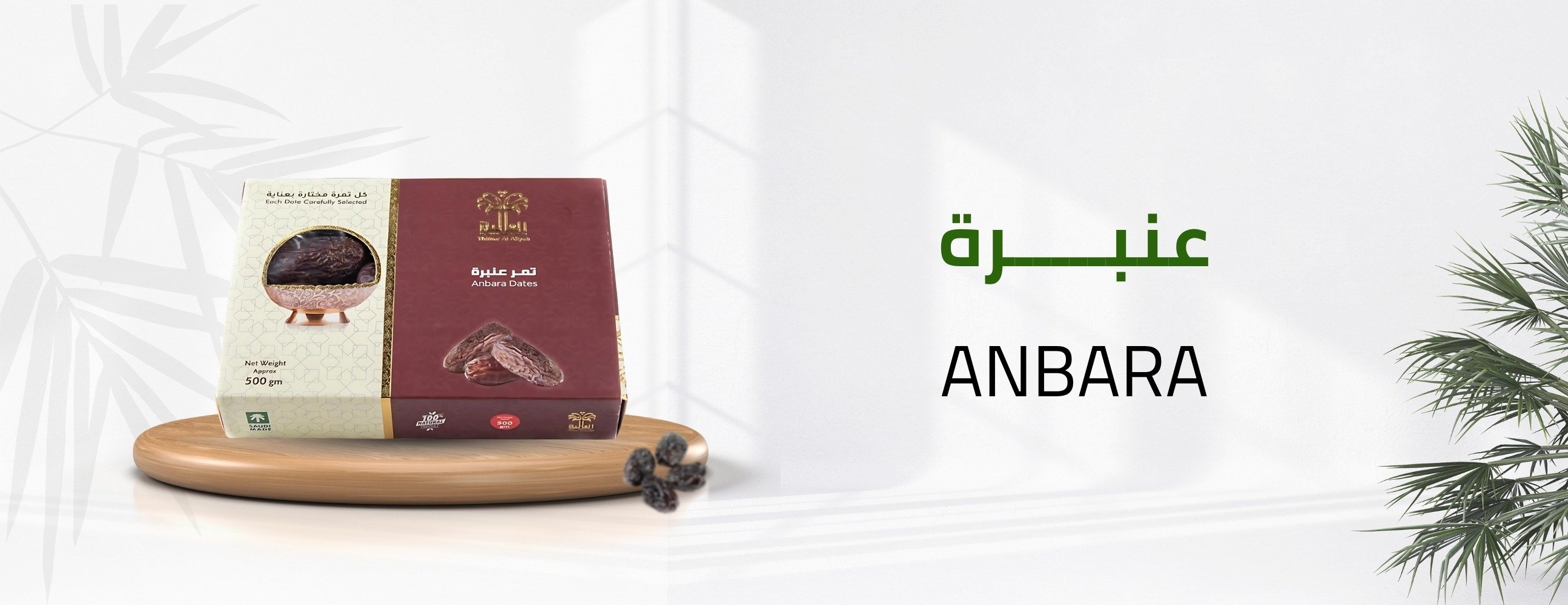 تمار العالیہ image-slider-5