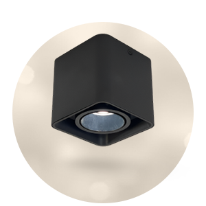 جداريات داخلية