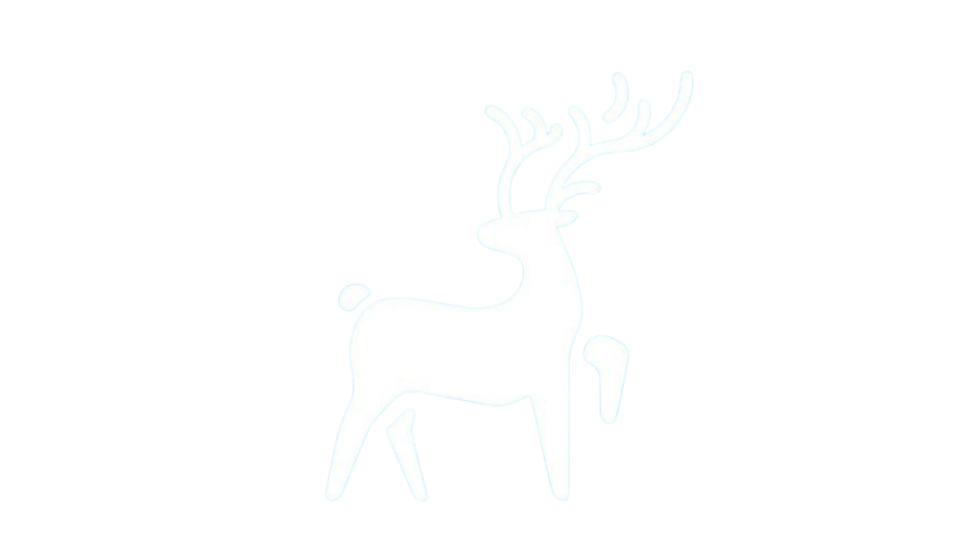 متجر دير | DEER - متجر متخصص في الاساور