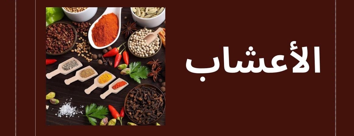 قهوة المزاج الراقي image-slider-1