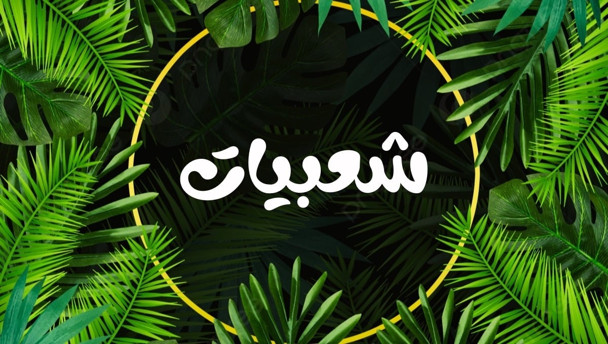 category banner