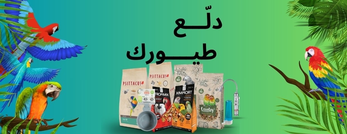 Birdwings image-slider-0