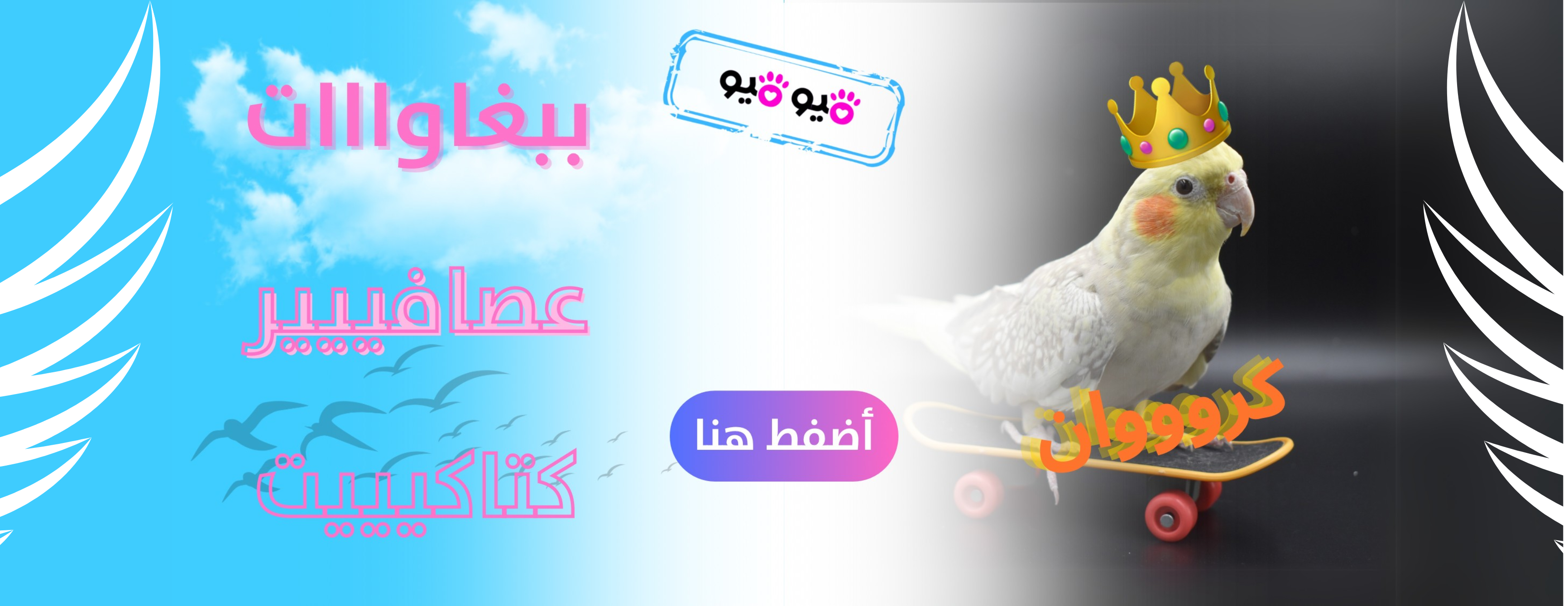 ميو ميو image-slider-0