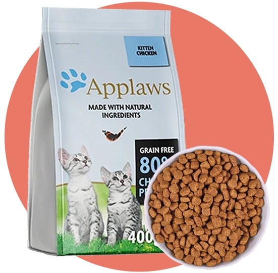 طعام جاف للقطط