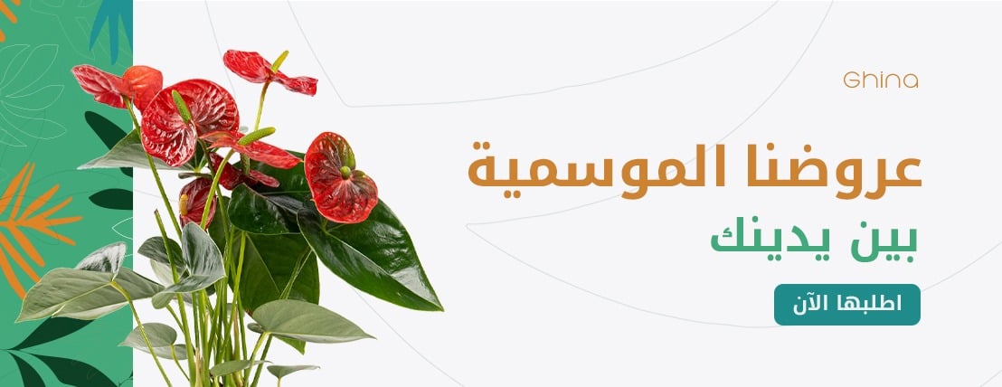 متجر غِنى image-slider-2