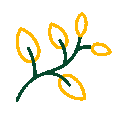 أنواع مانجو متعددة