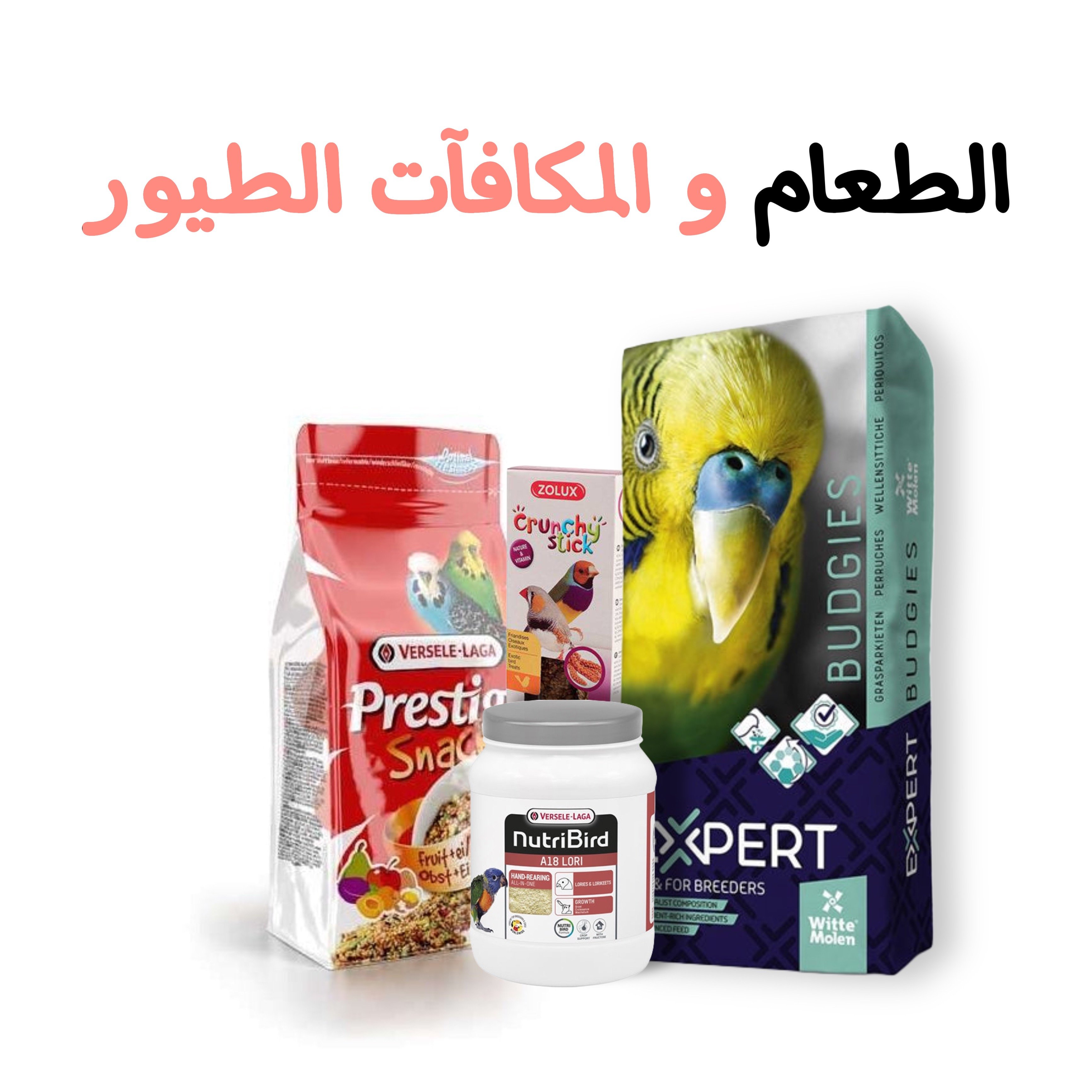 الطعـام و المكافآت الطيور