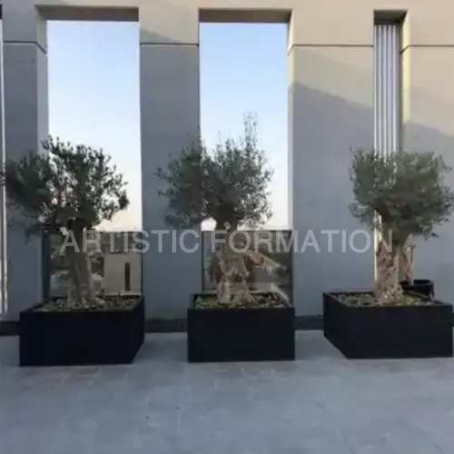 الأحواض الكبيرة
