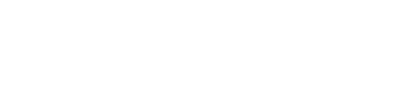 Christine | logo