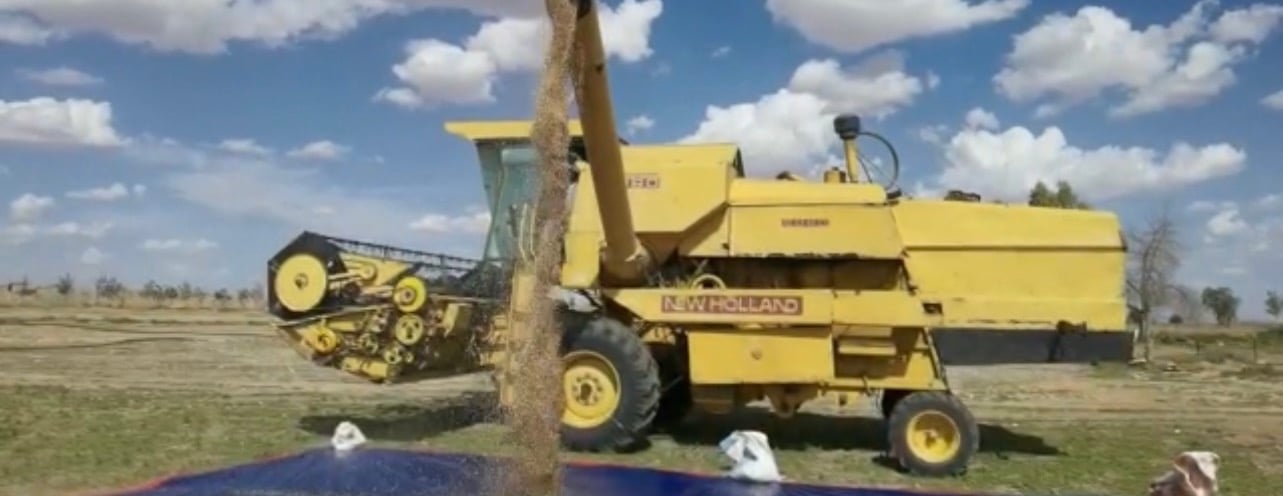 حَب الحصيد image-slider-3