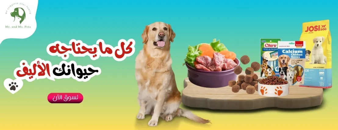 Mr. and Ms. Pets image-slider-1