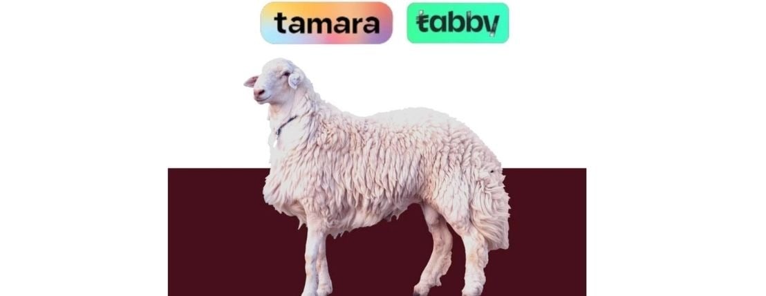 فن أرز الغربية image-slider-4