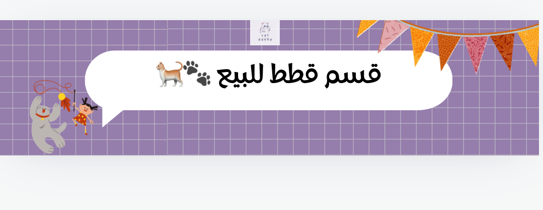 Cat Hayon image-slider-0