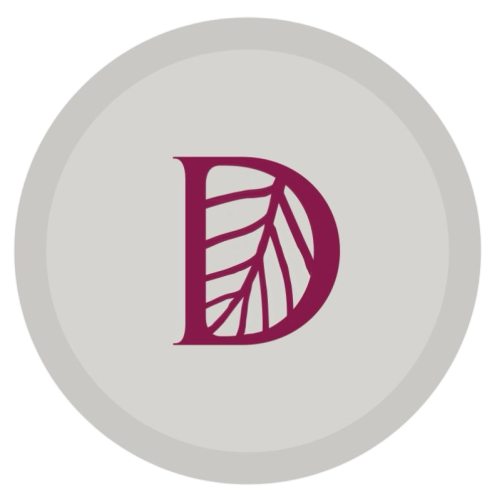 DRIED | درايد