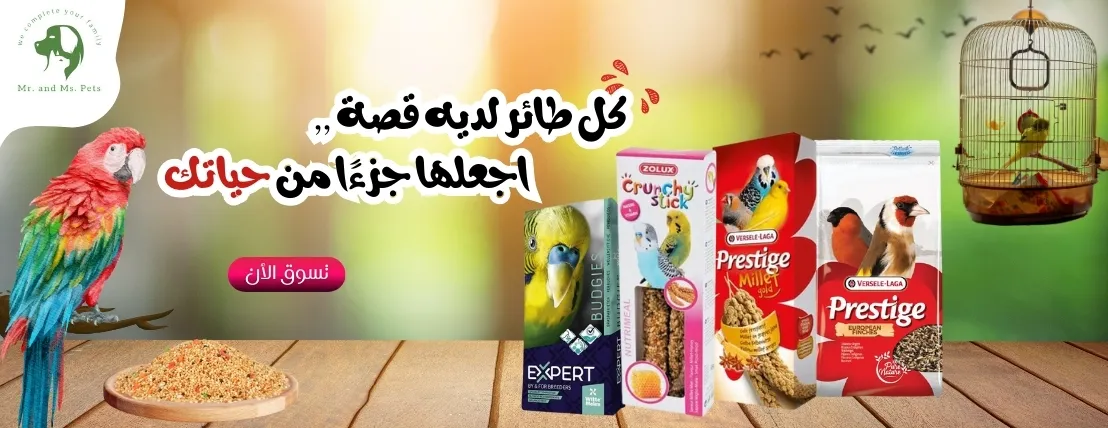 Mr. and Ms. Pets image-slider-2