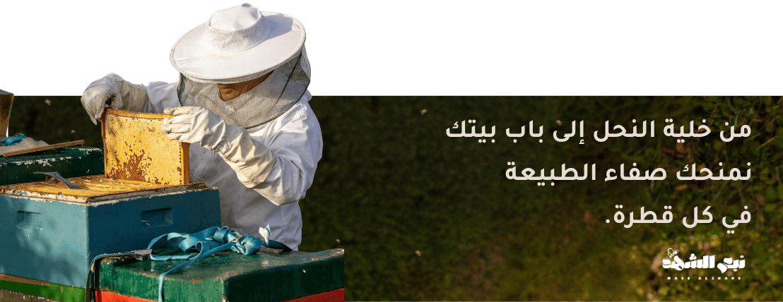 نبع الشهد image-slider-0