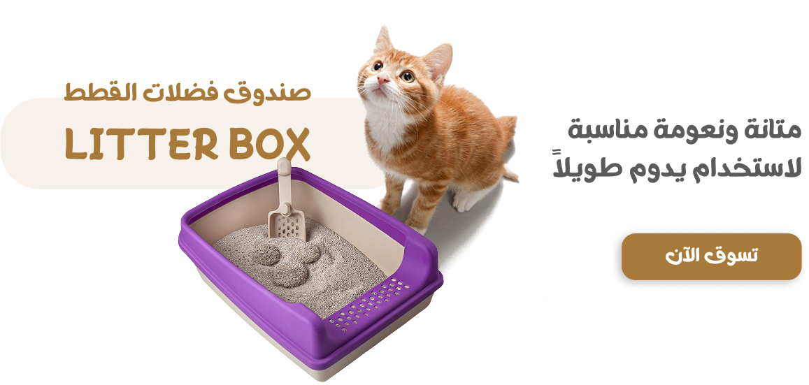 fixed banner