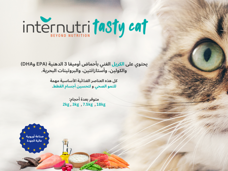 Special products slider