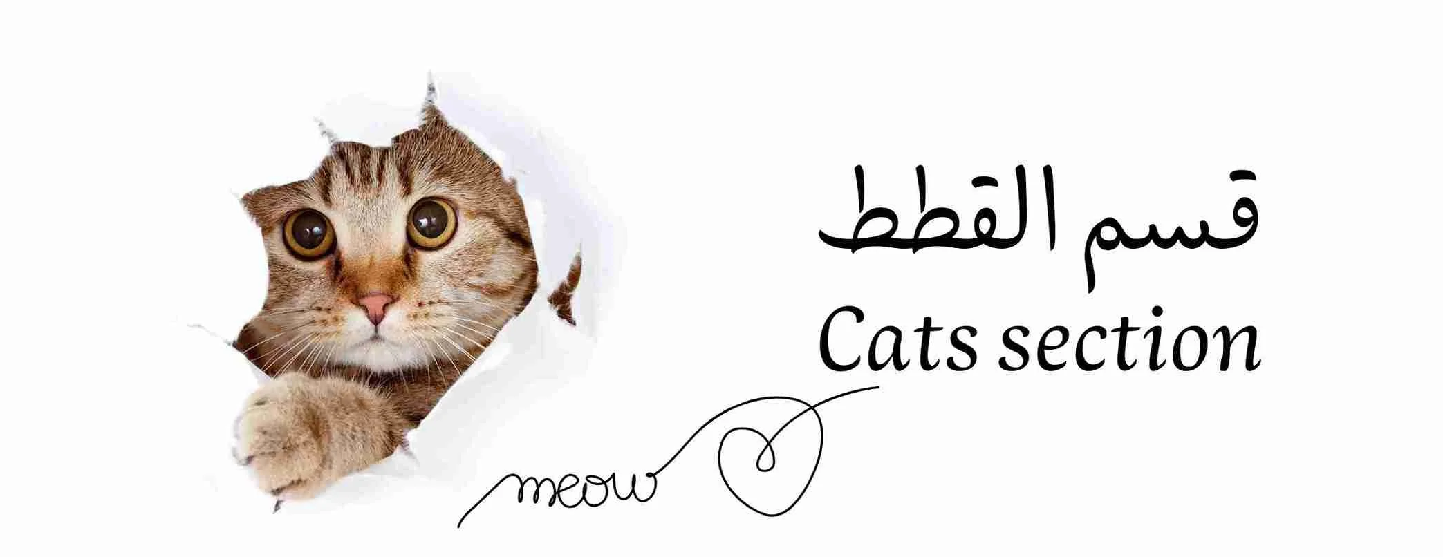 بيت شوب - الحساب الرسمي الموثق image-slider-0