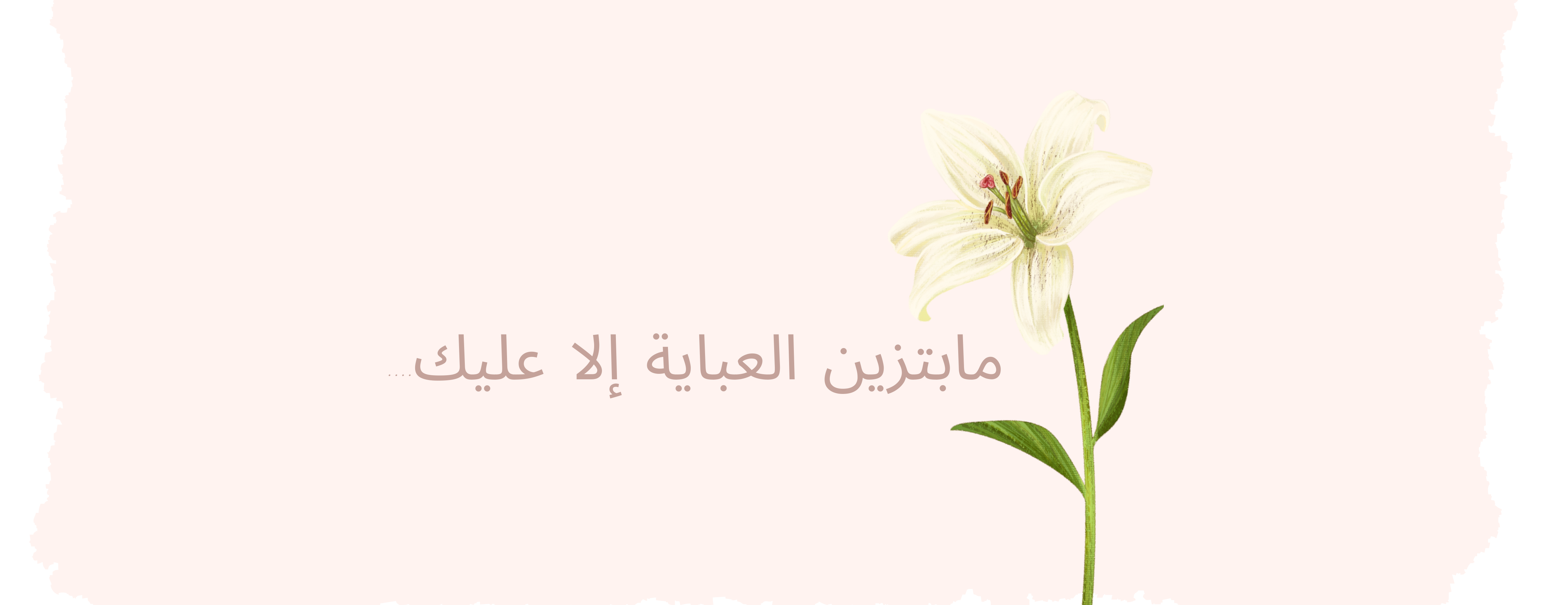 WardAbaya image-slider-1