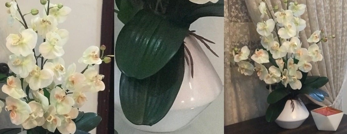 عالم الإلهام image-slider-1