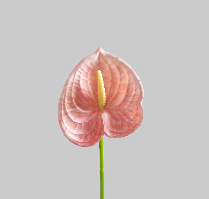 الانثيريوم