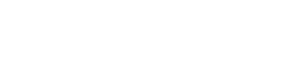 BOLTZ logo