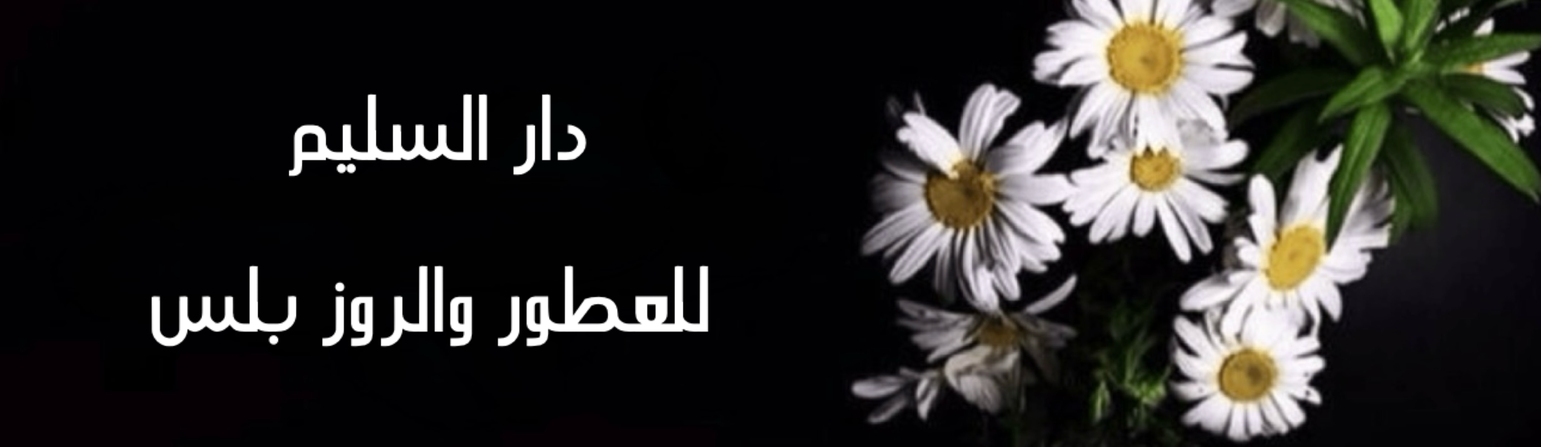 fixed banner
