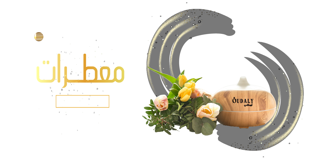 أودالي - OUDALY image-slider-0