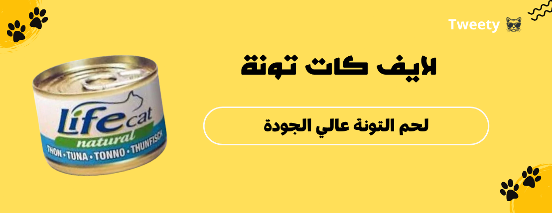 Tweety image-slider-2