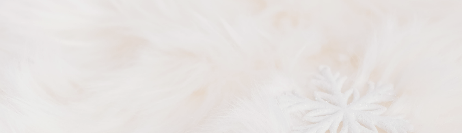 Footer Background Image