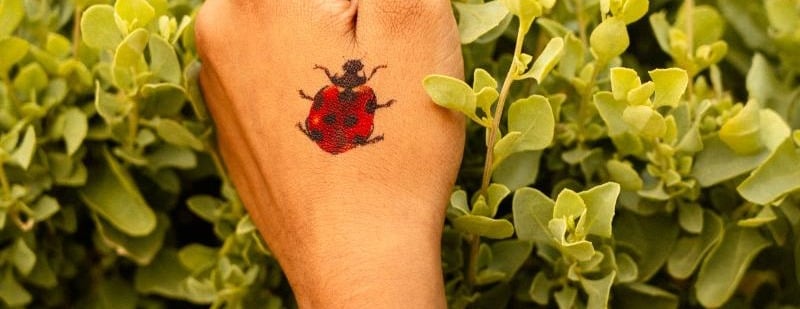 انكاوي - Inkawy image-slider-2