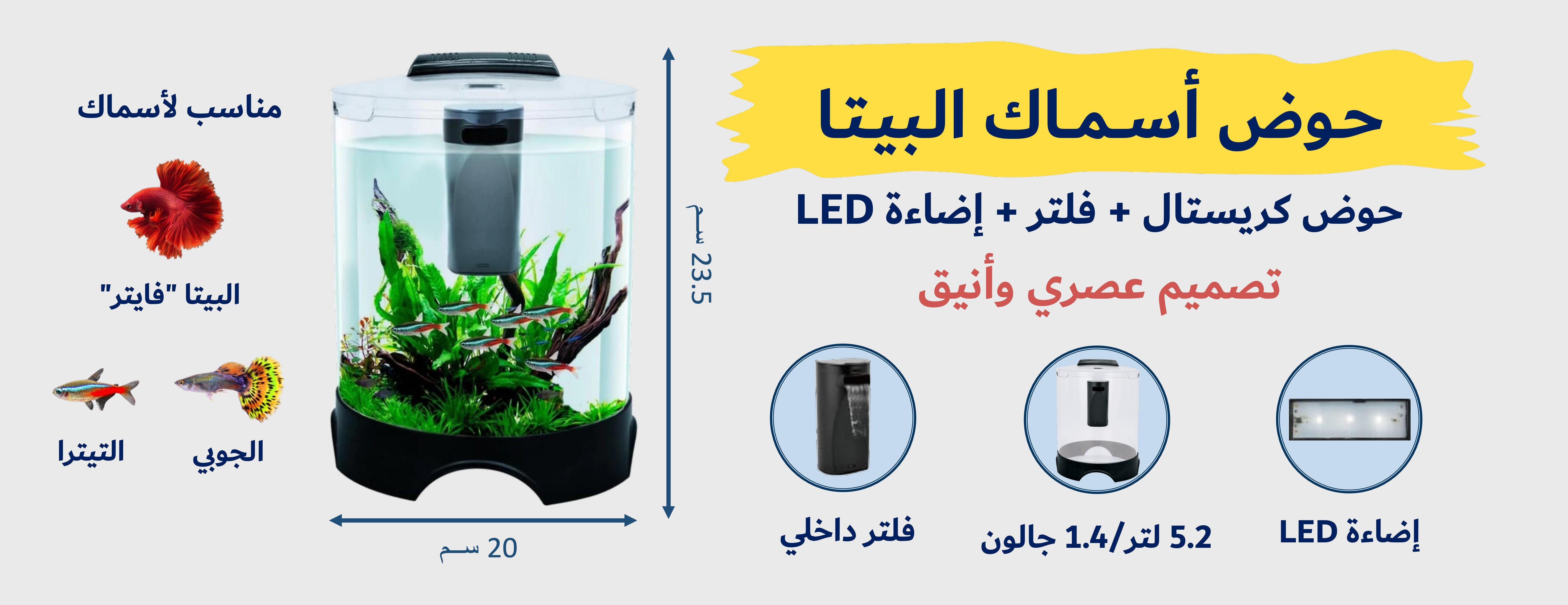 Elite Beautiful Life image-slider-2