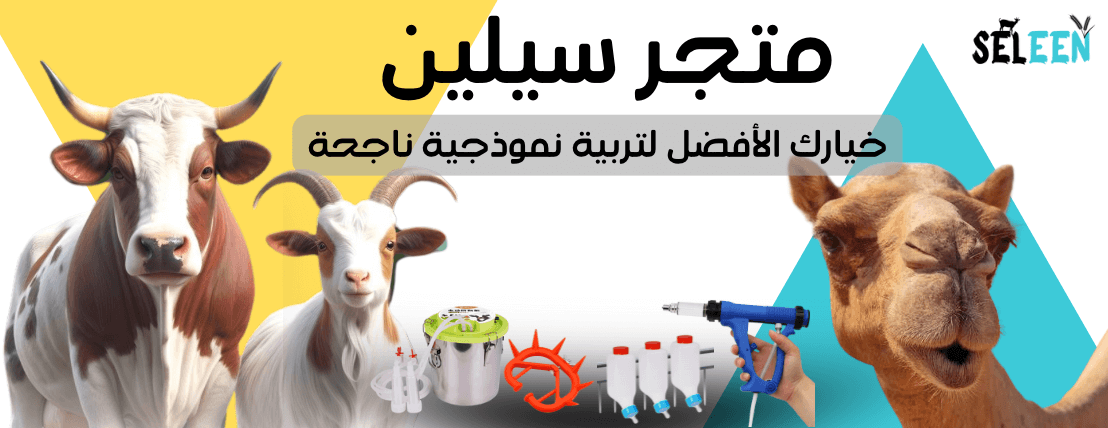 سيلين image-slider-0