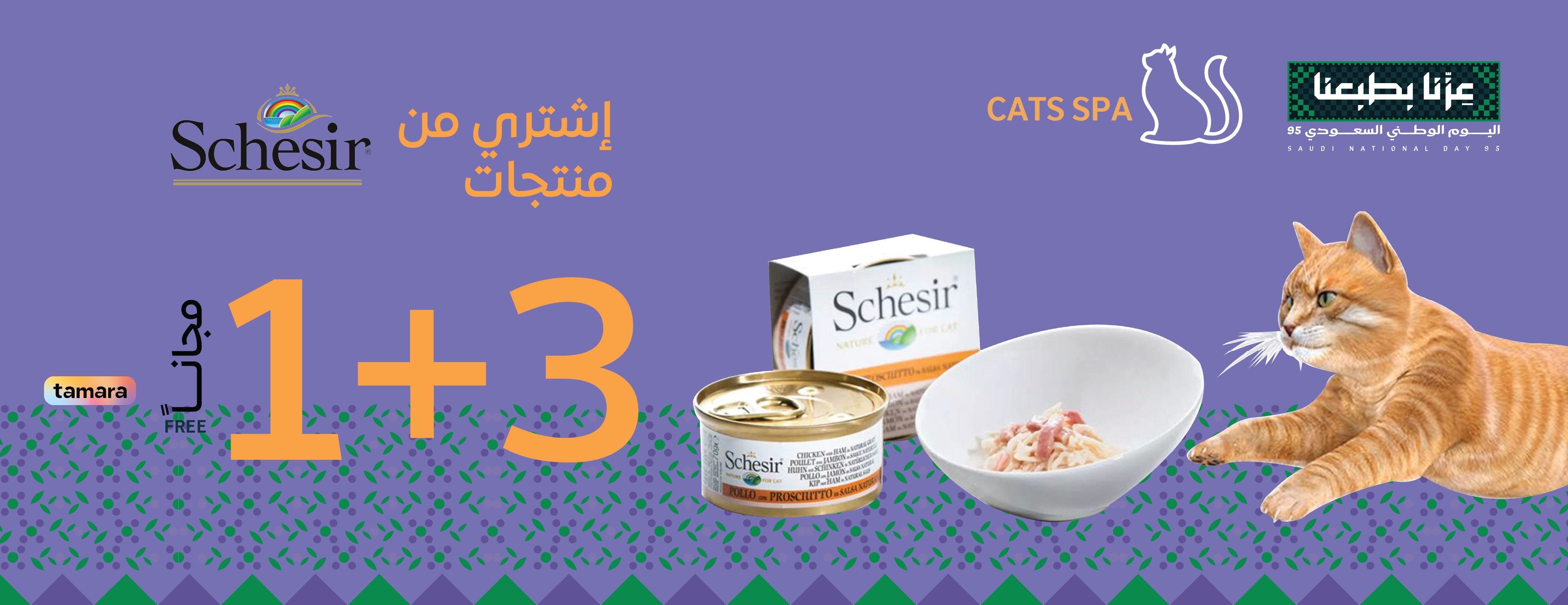 Cats Spa image-slider-1