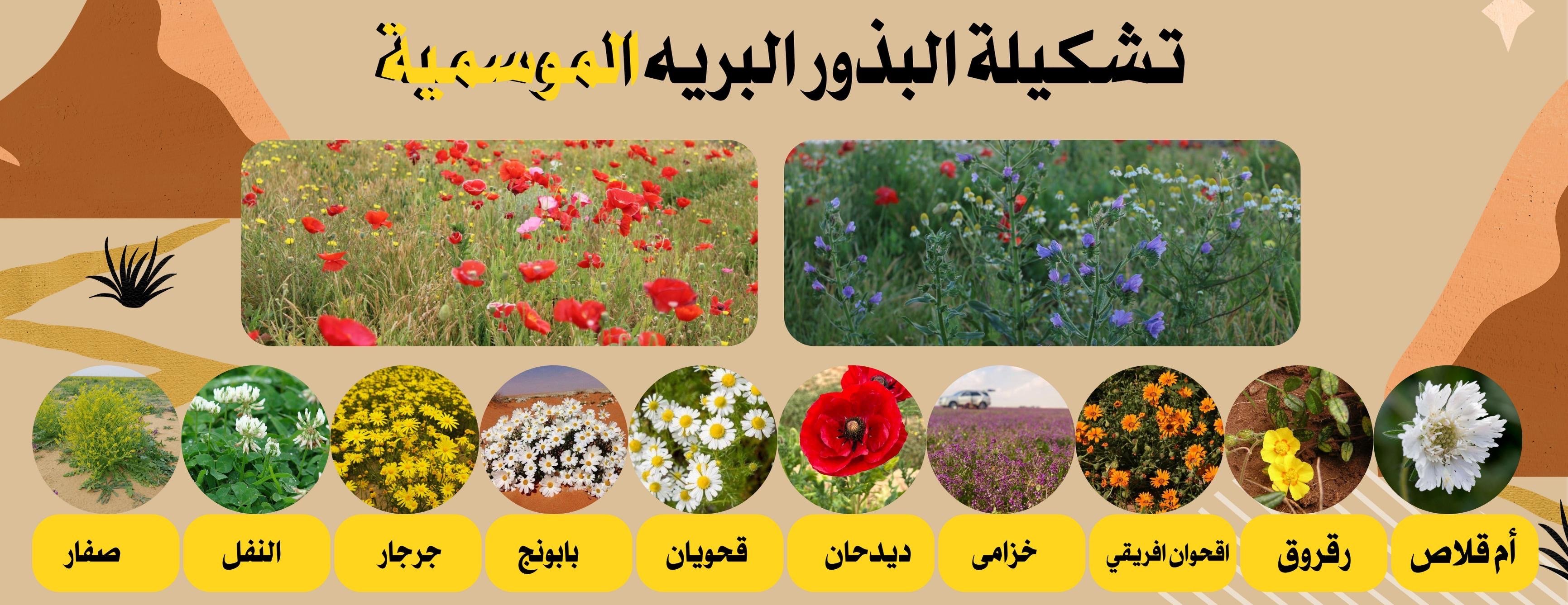 حقول البستان image-slider-1