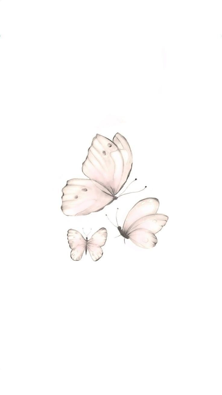 شوق القحطاني