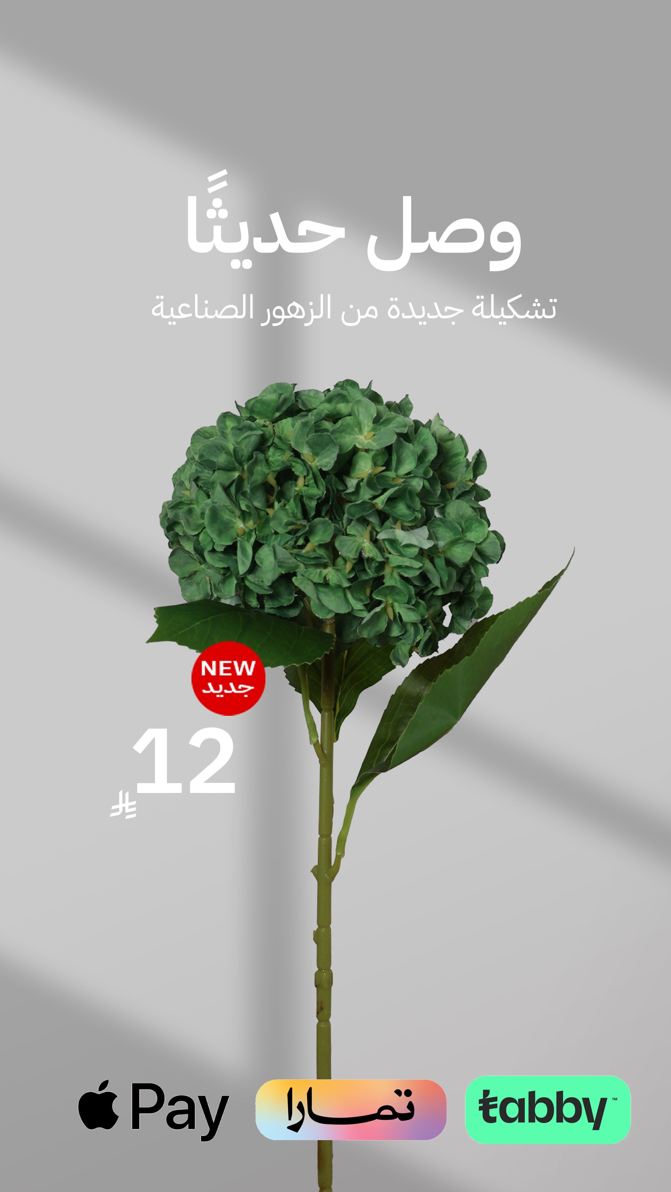 مكنون Mknoon