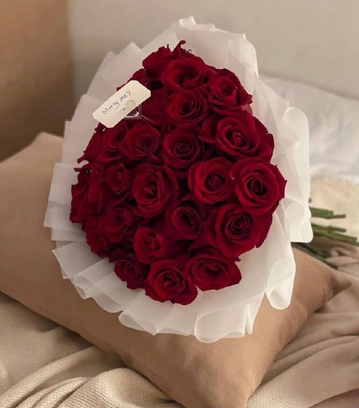 باقات ورد طبيعي